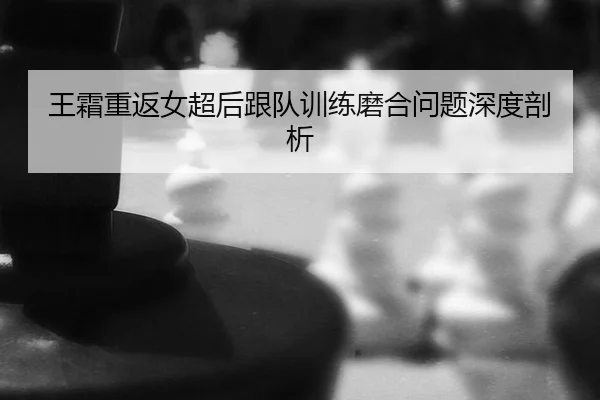 wang-shuang-chong-fan-nv-chao-hou-gen-dui-xun-lian-mo-he-wen-ti-shen-du-pou-xi-2-418.jpg