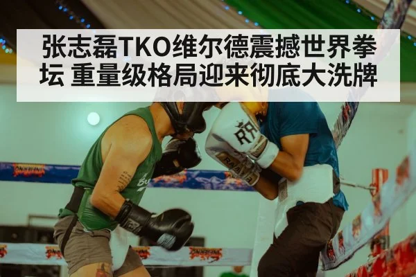张志磊TKO维尔德震撼世界拳坛 重量级格局迎来彻底大洗牌