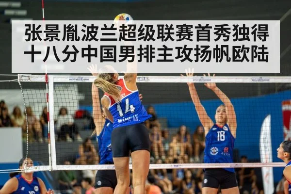 volleyball match action